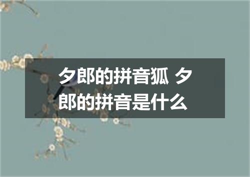 夕郎的拼音狐 夕郎的拼音是什么