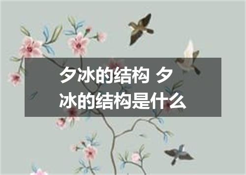 夕冰的结构 夕冰的结构是什么