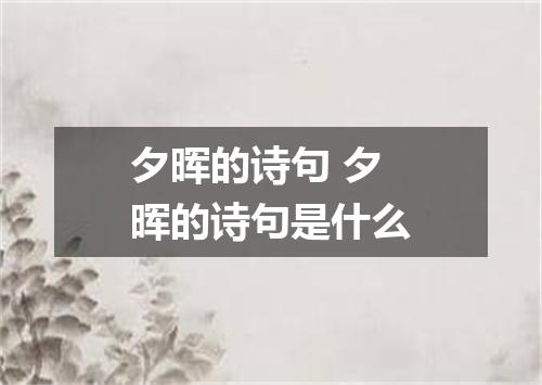 夕晖的诗句 夕晖的诗句是什么