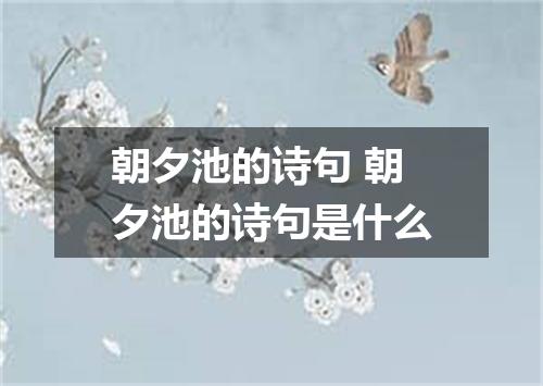 朝夕池的诗句 朝夕池的诗句是什么
