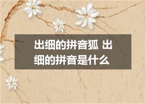 出细的拼音狐 出细的拼音是什么
