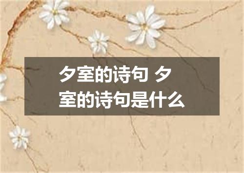 夕室的诗句 夕室的诗句是什么