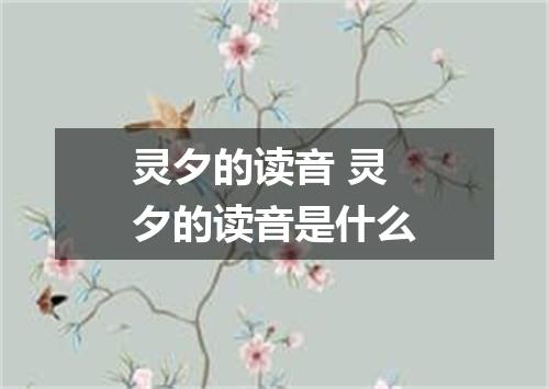 灵夕的读音 灵夕的读音是什么