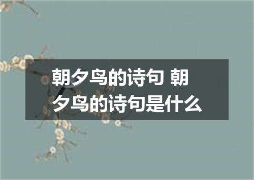 朝夕鸟的诗句 朝夕鸟的诗句是什么