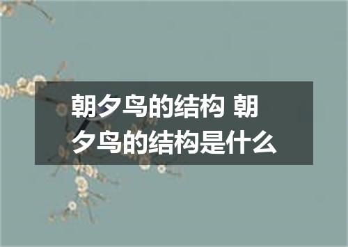 朝夕鸟的结构 朝夕鸟的结构是什么
