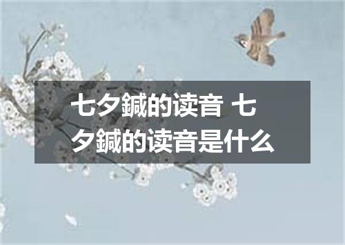 七夕鍼的读音 七夕鍼的读音是什么