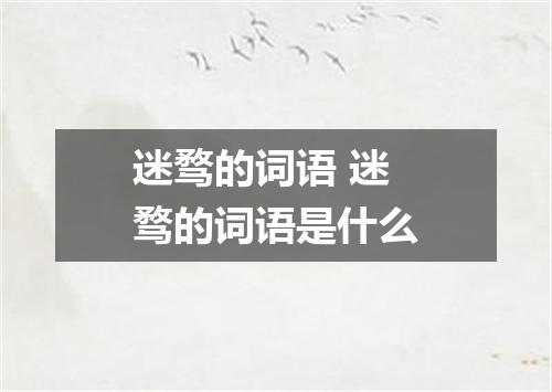 迷骛的词语 迷骛的词语是什么