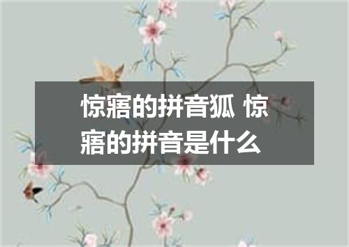 惊寤的拼音狐 惊寤的拼音是什么