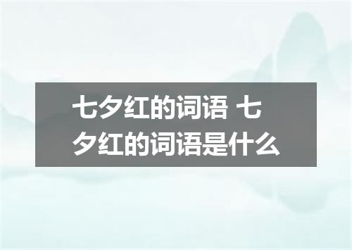 七夕红的词语 七夕红的词语是什么