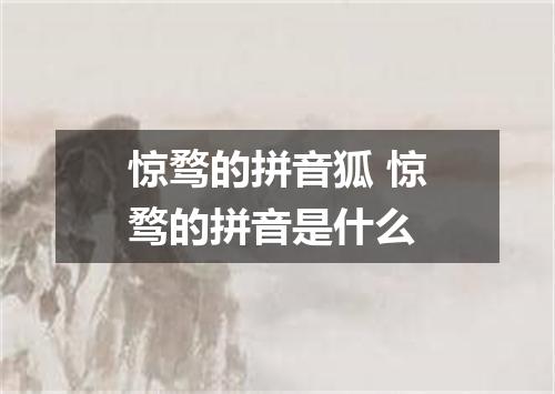 惊骛的拼音狐 惊骛的拼音是什么