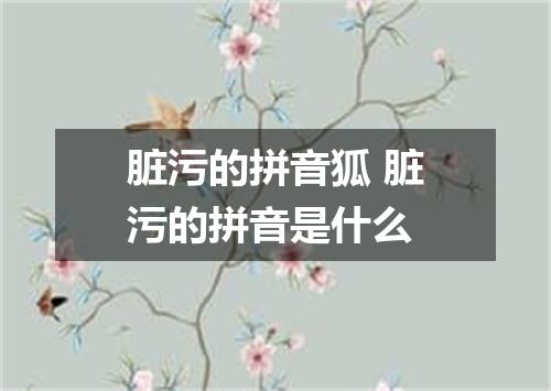 脏污的拼音狐 脏污的拼音是什么