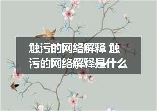 触污的网络解释 触污的网络解释是什么