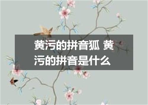 黄污的拼音狐 黄污的拼音是什么
