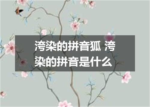 洿染的拼音狐 洿染的拼音是什么