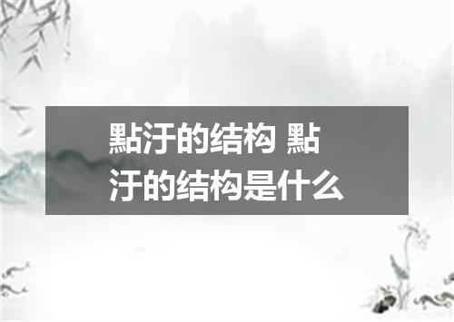 點汙的结构 點汙的结构是什么