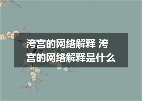 洿宫的网络解释 洿宫的网络解释是什么
