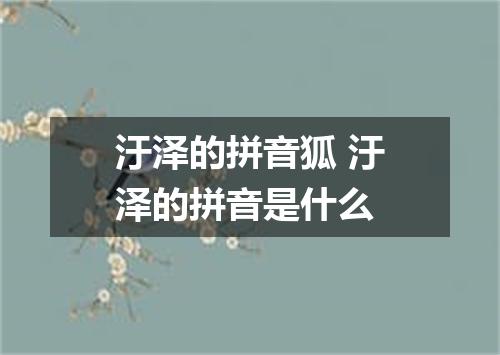 汙泽的拼音狐 汙泽的拼音是什么