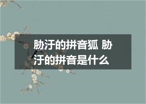 胁汙的拼音狐 胁汙的拼音是什么