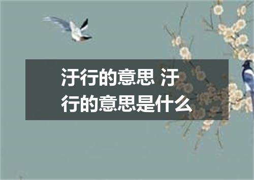 汙行的意思 汙行的意思是什么