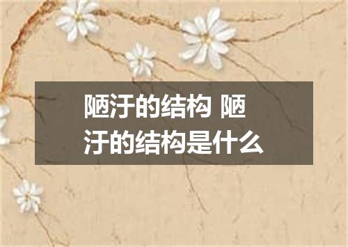 陋汙的结构 陋汙的结构是什么