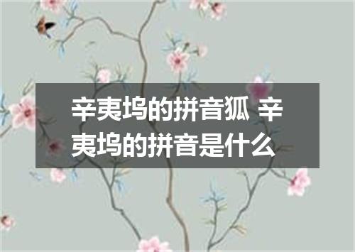 辛夷坞的拼音狐 辛夷坞的拼音是什么