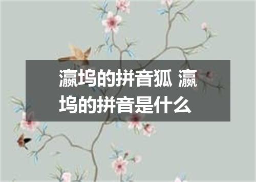 瀛坞的拼音狐 瀛坞的拼音是什么