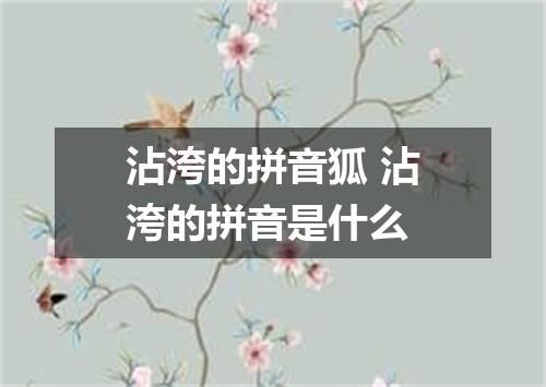 沾洿的拼音狐 沾洿的拼音是什么