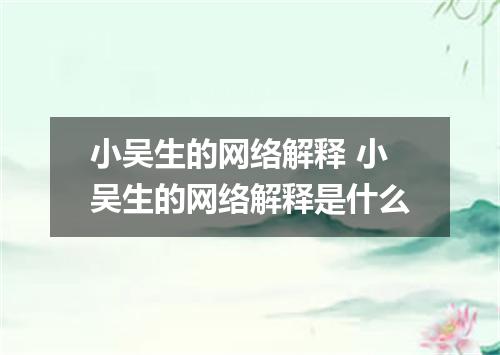 小吴生的网络解释 小吴生的网络解释是什么