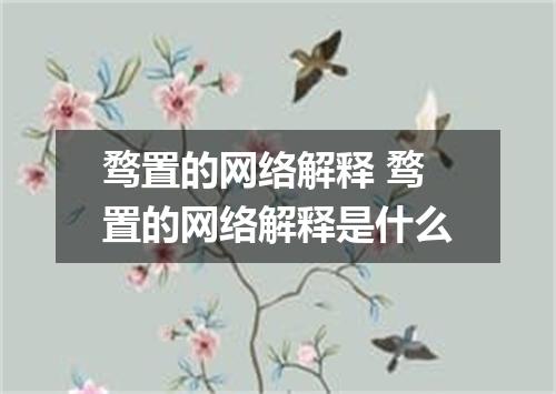 骛置的网络解释 骛置的网络解释是什么