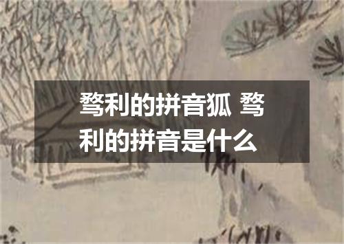 骛利的拼音狐 骛利的拼音是什么