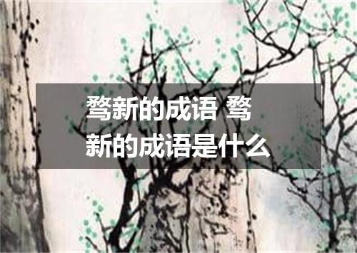 骛新的成语 骛新的成语是什么