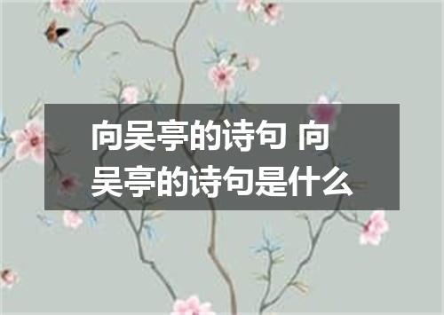 向吴亭的诗句 向吴亭的诗句是什么