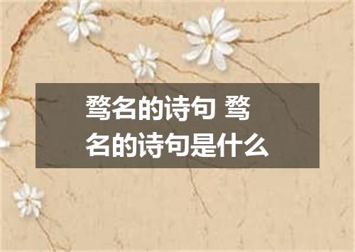 骛名的诗句 骛名的诗句是什么