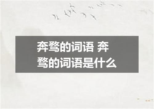 奔骛的词语 奔骛的词语是什么