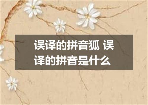 误译的拼音狐 误译的拼音是什么