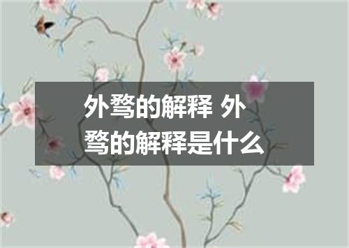 外骛的解释 外骛的解释是什么