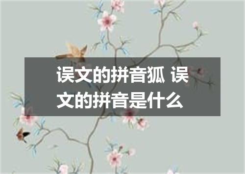 误文的拼音狐 误文的拼音是什么