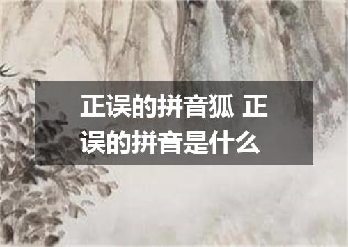 正误的拼音狐 正误的拼音是什么