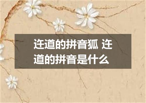 迕道的拼音狐 迕道的拼音是什么