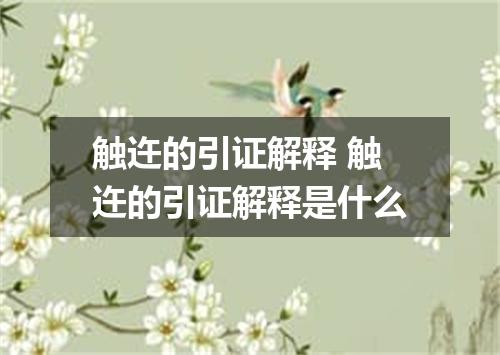 触迕的引证解释 触迕的引证解释是什么