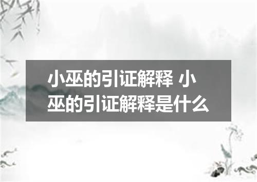 小巫的引证解释 小巫的引证解释是什么