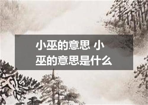 小巫的意思 小巫的意思是什么