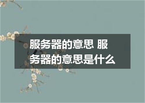 服务器的意思 服务器的意思是什么