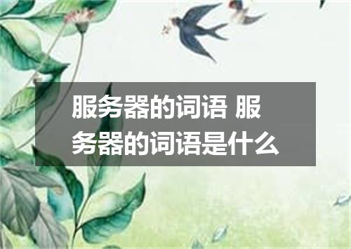 服务器的词语 服务器的词语是什么