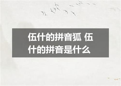 伍什的拼音狐 伍什的拼音是什么