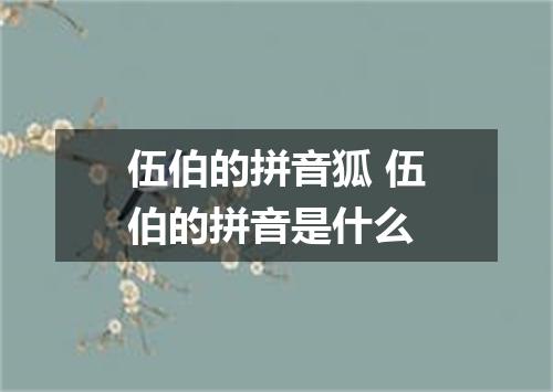 伍伯的拼音狐 伍伯的拼音是什么