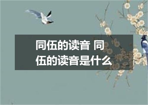 同伍的读音 同伍的读音是什么