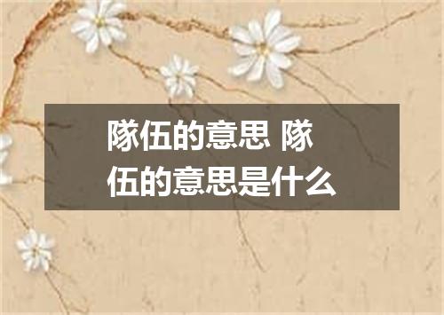 隊伍的意思 隊伍的意思是什么