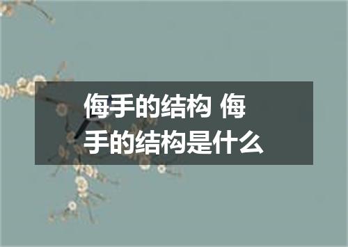 侮手的结构 侮手的结构是什么