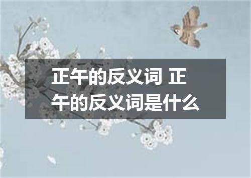 正午的反义词 正午的反义词是什么